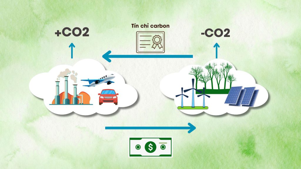 tín chỉ carbon và vai trò của thị trường carbon