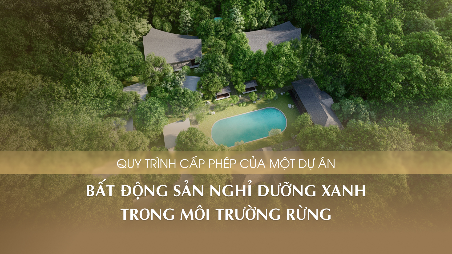 Quy trình cấp phép dự án bất động sản nghỉ dưỡng xanh trong môi trường rừng