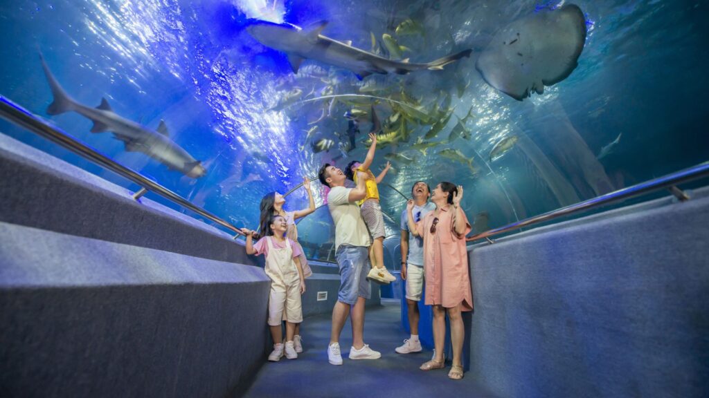 mo-hinh-vui-choi-ven-bien